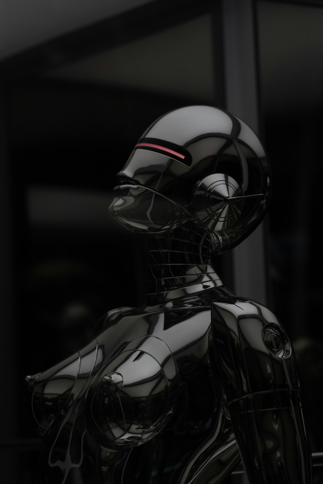 Humanoid Robot